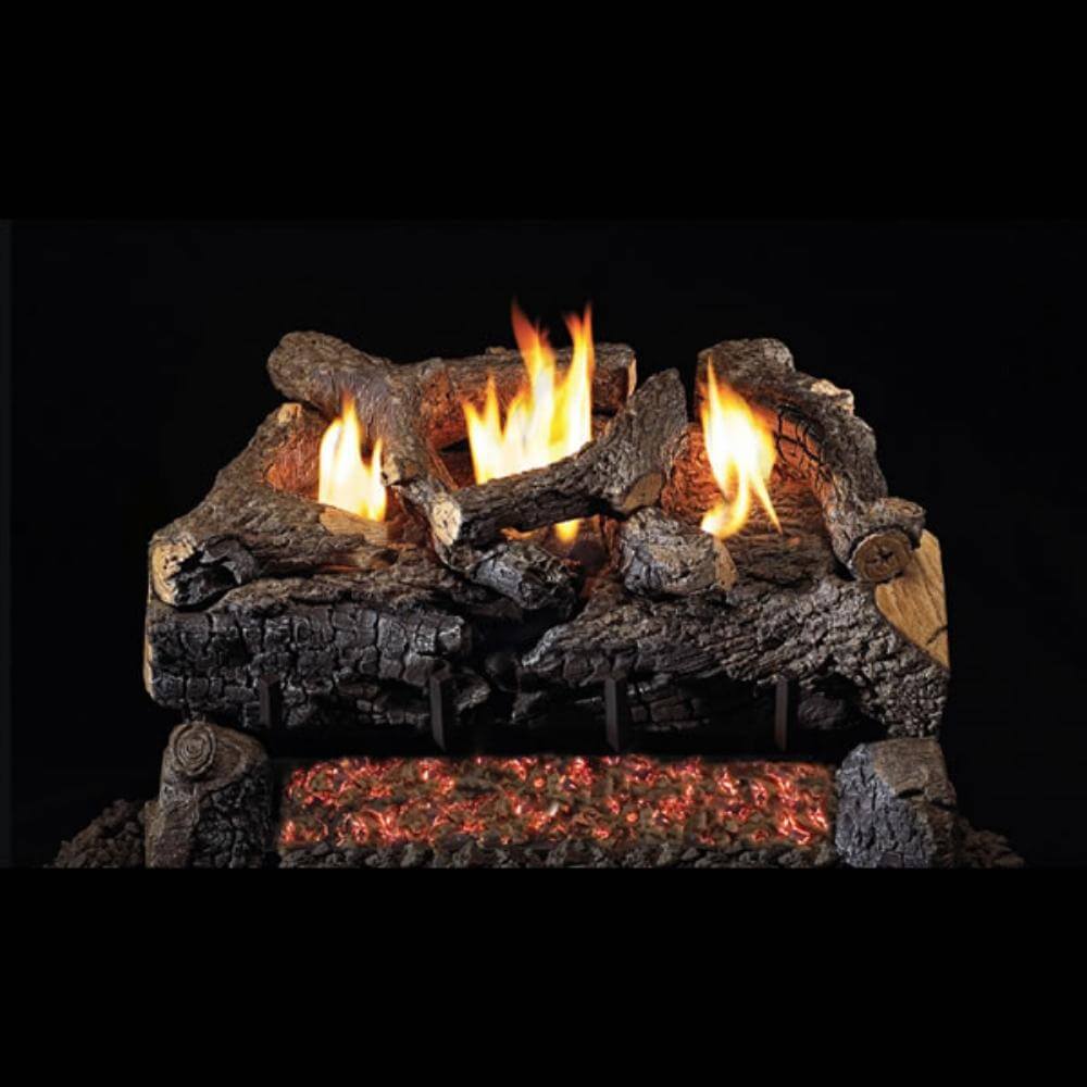 Real Fyre Evening Fyre Charred 24-Inch See-Through Vent-Free Gas Log Set Insert