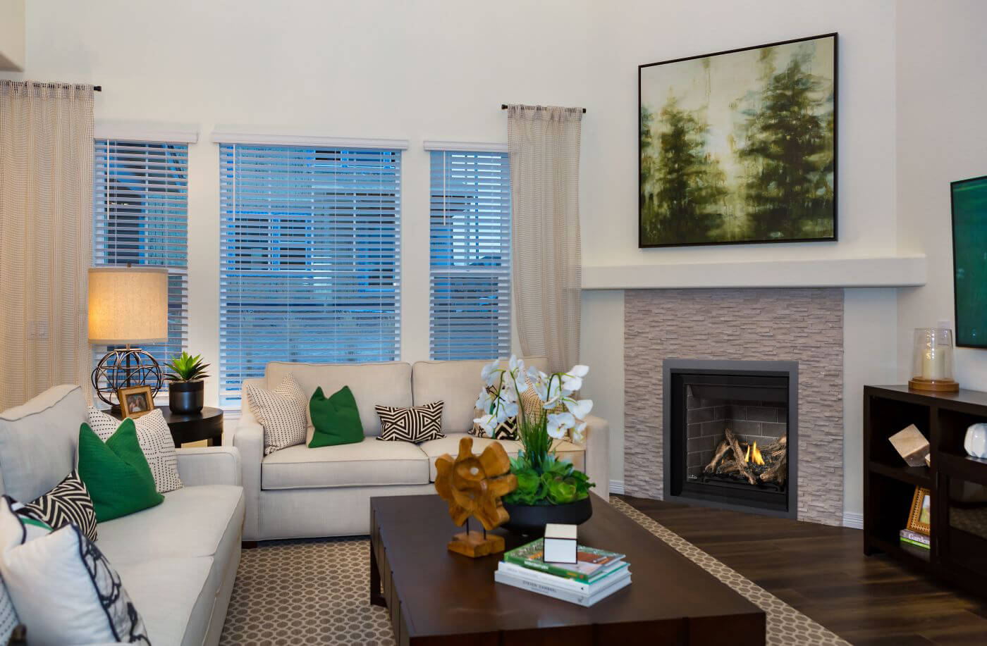 Napoleon Altitude™ Series Direct Vent Gas Fireplace