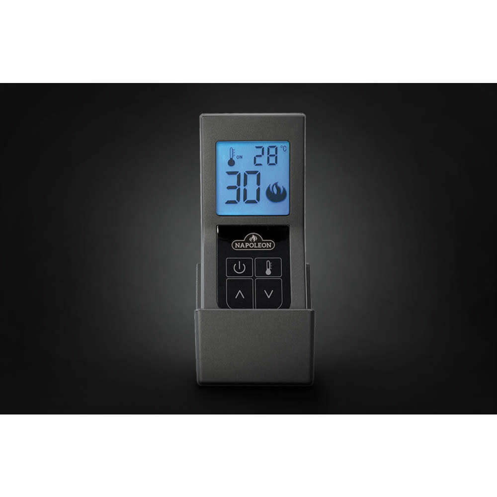 Napoleon Ascent™ Multi-View Series Direct Vent Fireplace