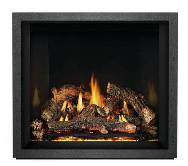 Napoleon Elevation™ X Series Direct Vent Gas Fireplace
