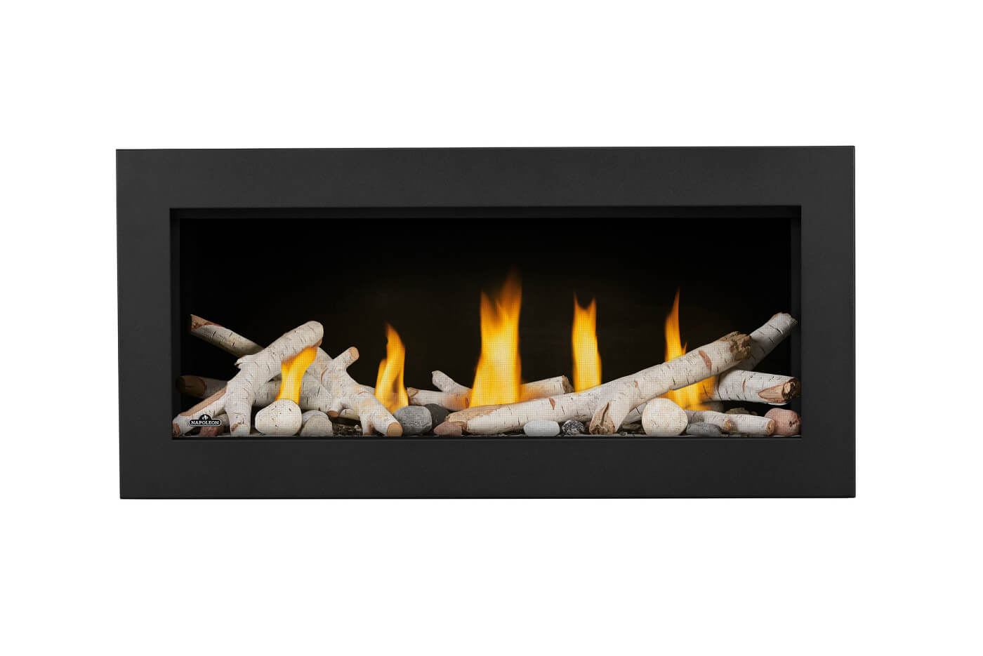 Napoleon Vector Direct Vent Gas Fireplace