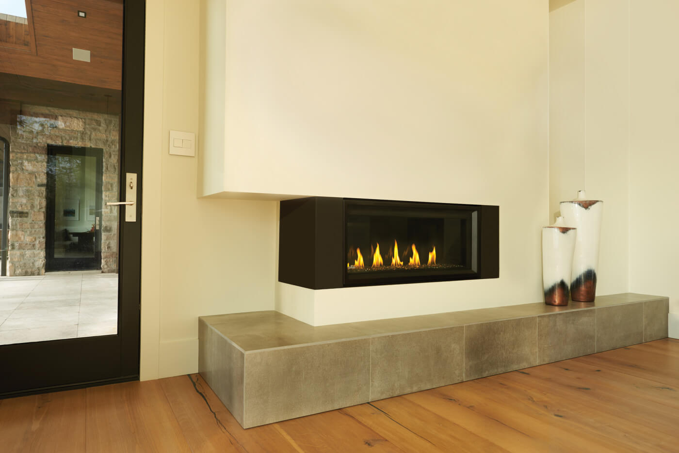 Napoleon Vector Direct Vent Gas Fireplace
