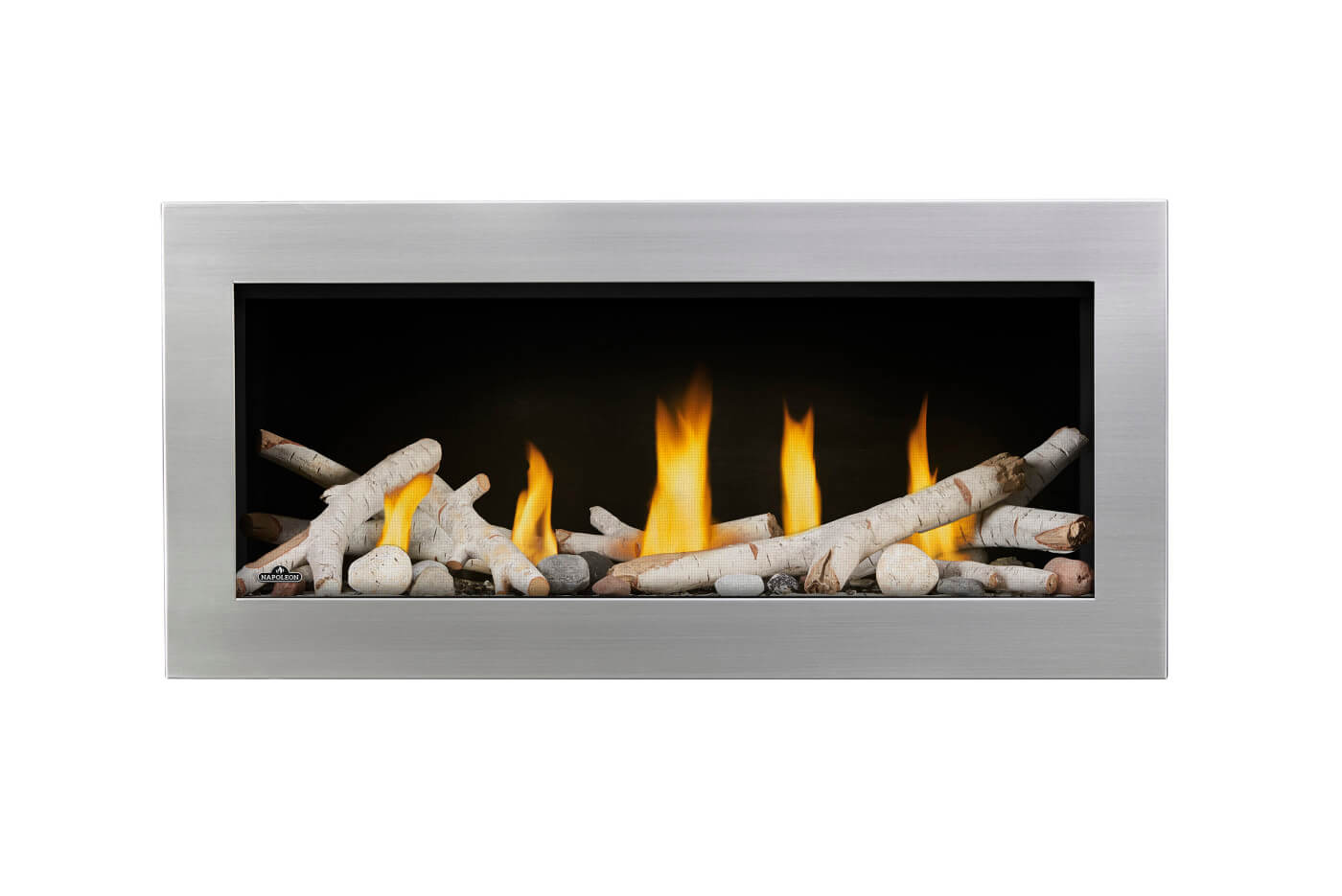 Napoleon Vector Direct Vent Gas Fireplace - front view