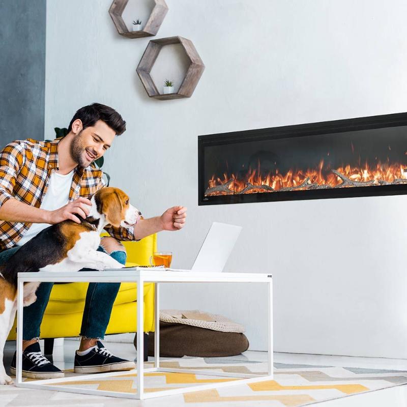 Napoleon Entice Built-in/Wall-Mounted Electric Fireplace