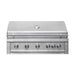 Outdoor Plus Diamond Series 42-Inch Built-In 5-Burner Natural Gas Grill (DG-5B42)