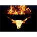 Fire Pit Art Long Horn 36-Inch Handcrafted Carbon Steel Fire Pit (LH) - closed up on the flame and details 